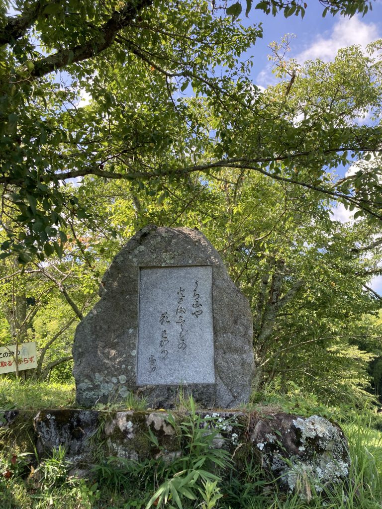 画像に alt 属性が指定されていません。ファイル名: IMG_0740-768x1024.jpg