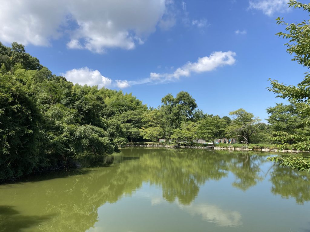 画像に alt 属性が指定されていません。ファイル名: IMG_0741-1024x768.jpg