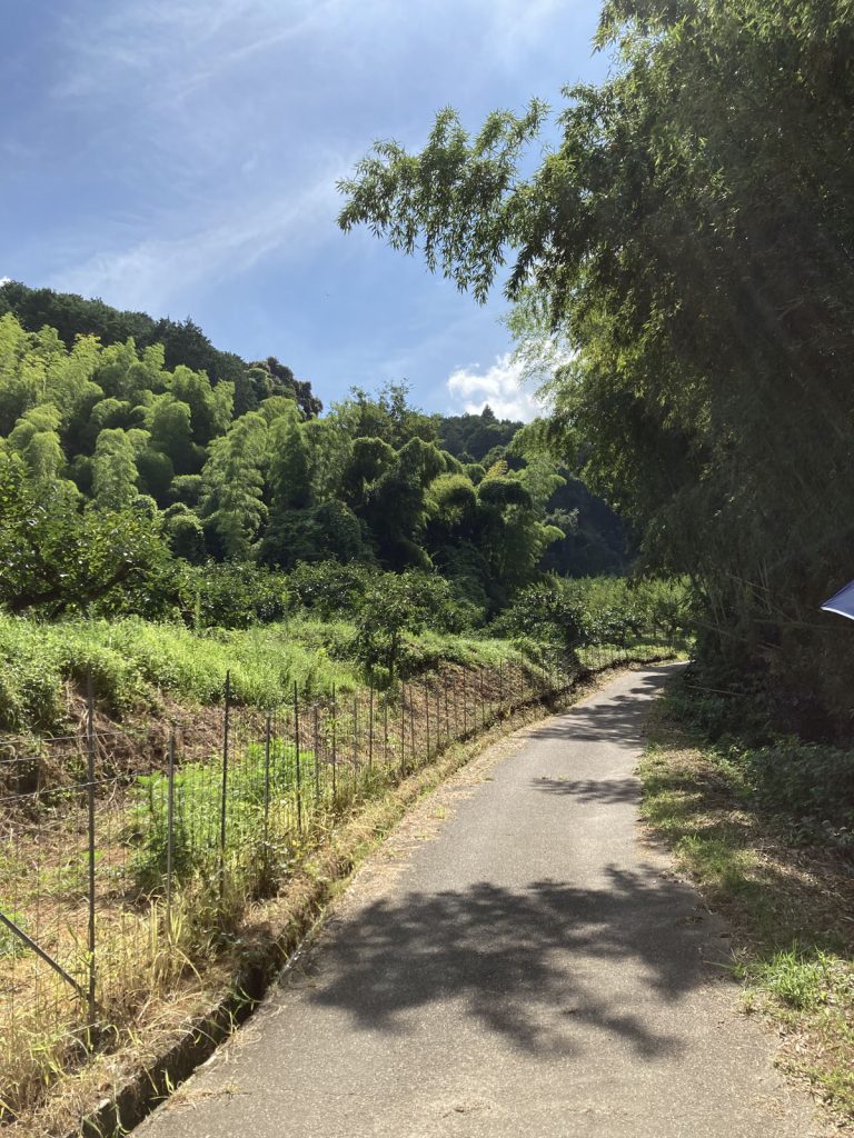 画像に alt 属性が指定されていません。ファイル名: IMG_0742-768x1024.jpg