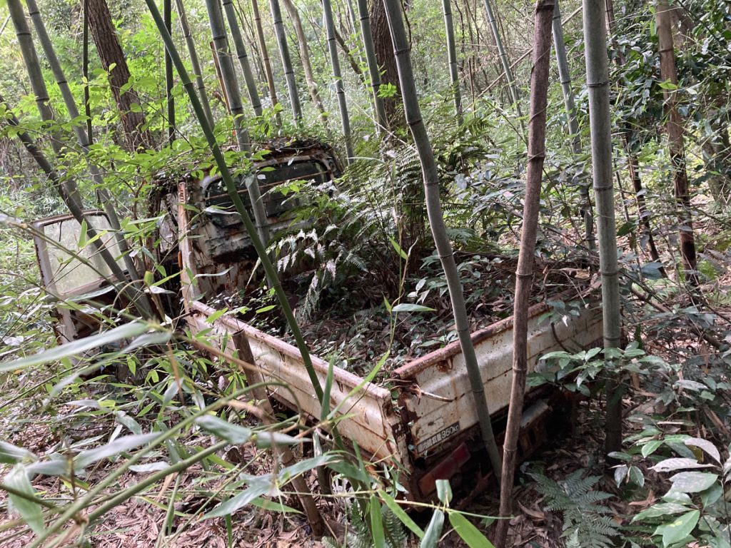 画像に alt 属性が指定されていません。ファイル名: IMG_0745-1024x768.jpg