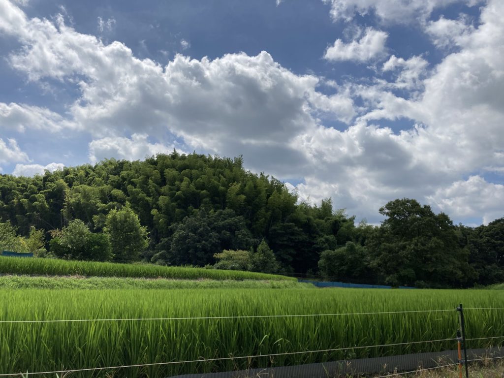 画像に alt 属性が指定されていません。ファイル名: IMG_0747-1024x768.jpg