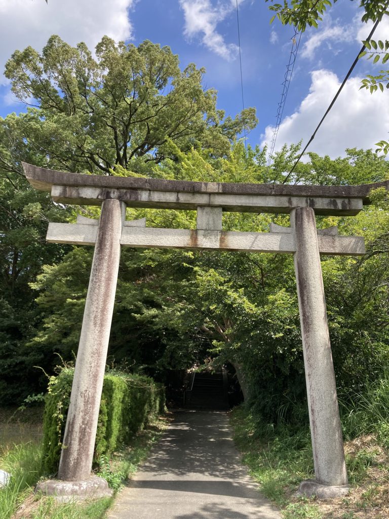 画像に alt 属性が指定されていません。ファイル名: IMG_0751-768x1024.jpg