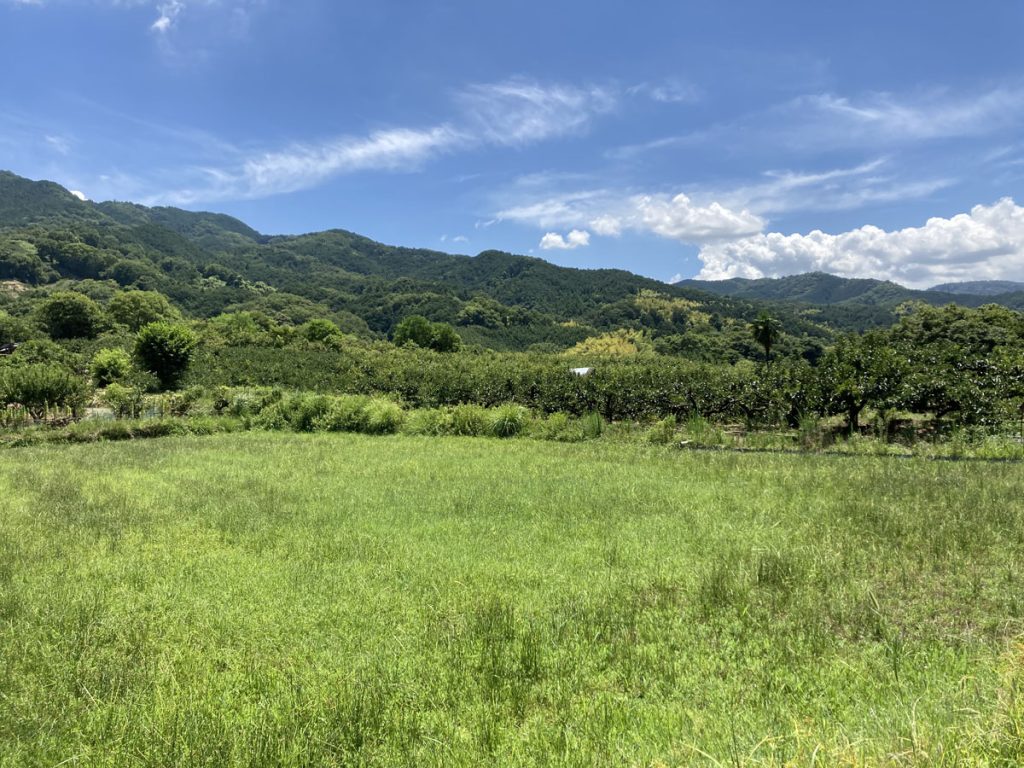 画像に alt 属性が指定されていません。ファイル名: IMG_0770-1024x768.jpg